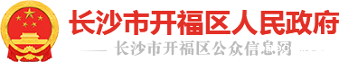 开云电竞大平台人民政府LOGO