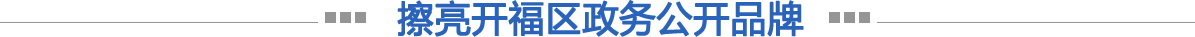 擦亮开云电竞大平台政务公开品牌